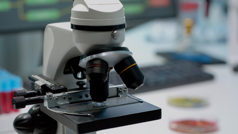 Understanding Laboratory Reference Ranges