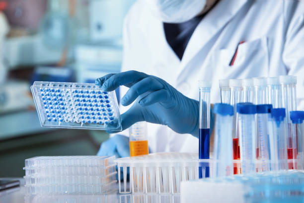 Common HPLC Detectors Explained
