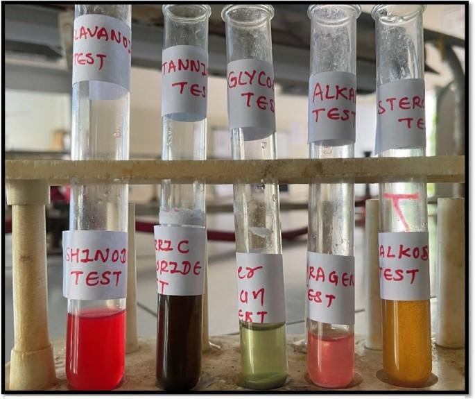 Phytochemical Screening & Assay