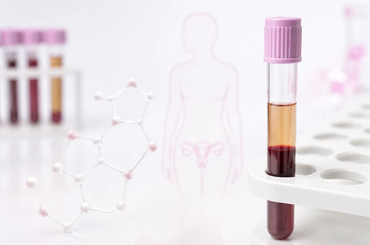 Estradiol (E2) Blood Test – Serum Estrogen Level
