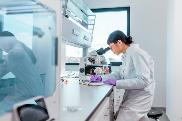 Lead Assay