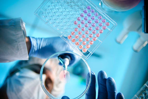Preservative Efficacy — Cosmetics
